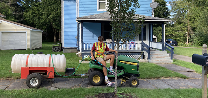 Tree grant plantings continue in Oxford with special feature planned